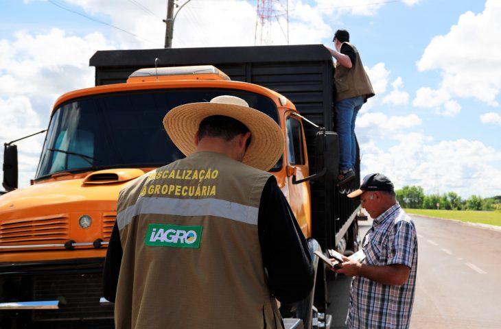 Com 29 vagas, Governo de MS autoriza concurso para área de fiscalização e defesa sanitária na Iagro. Com 29 vagas, Governo de MS autoriza concurso para área de fiscalização e defesa sanitária na Iagro.