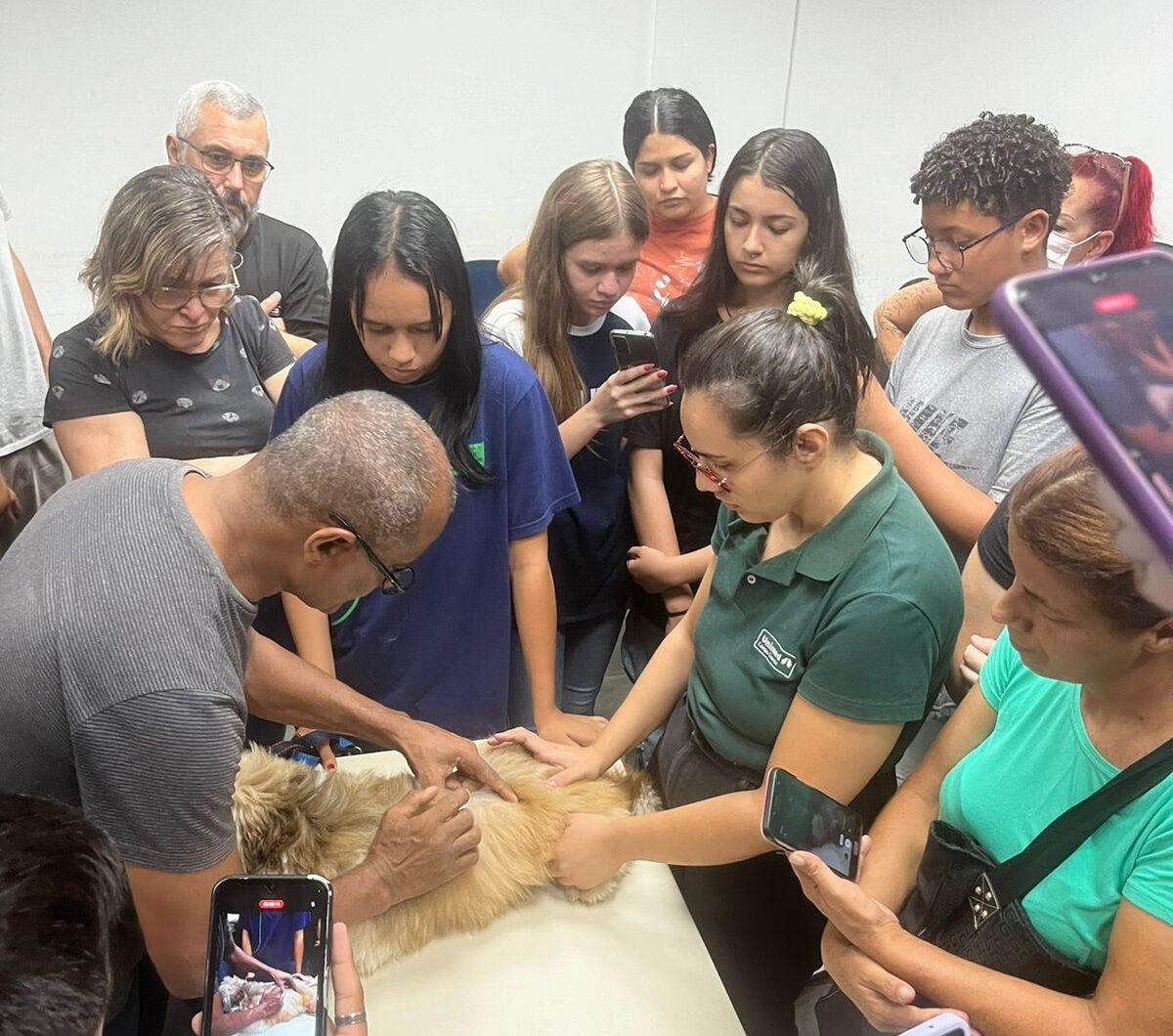 Prefeitura realiza primeiro curso de qualificação para atendentes em serviços Pets.