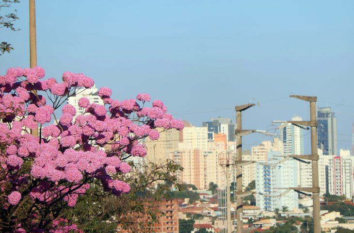 Semana começa com temperaturas altas e calor intenso no Estado. Semana começa com temperaturas altas e calor intenso no Estado.