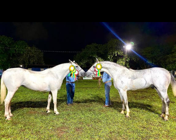 Expogrande 2024 supera todas as expectativas e fatura R$ 576,8 milhões.