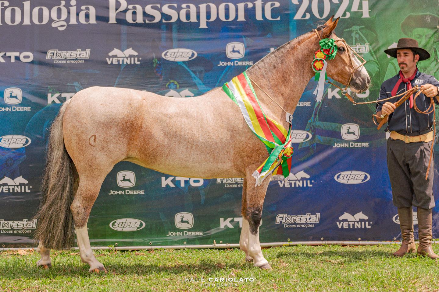 Expogrande 2024 supera todas as expectativas e fatura R$ 576,8 milhões.