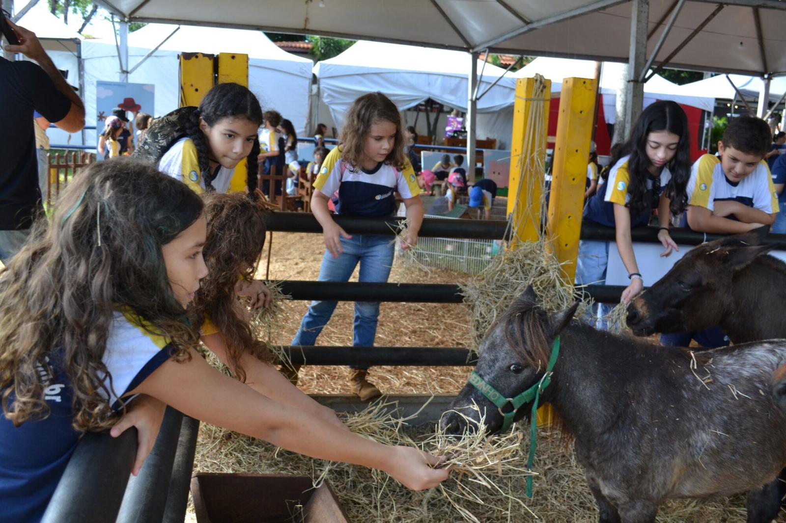 Expogrande 2024 supera todas as expectativas e fatura R$ 576,8 milhões.