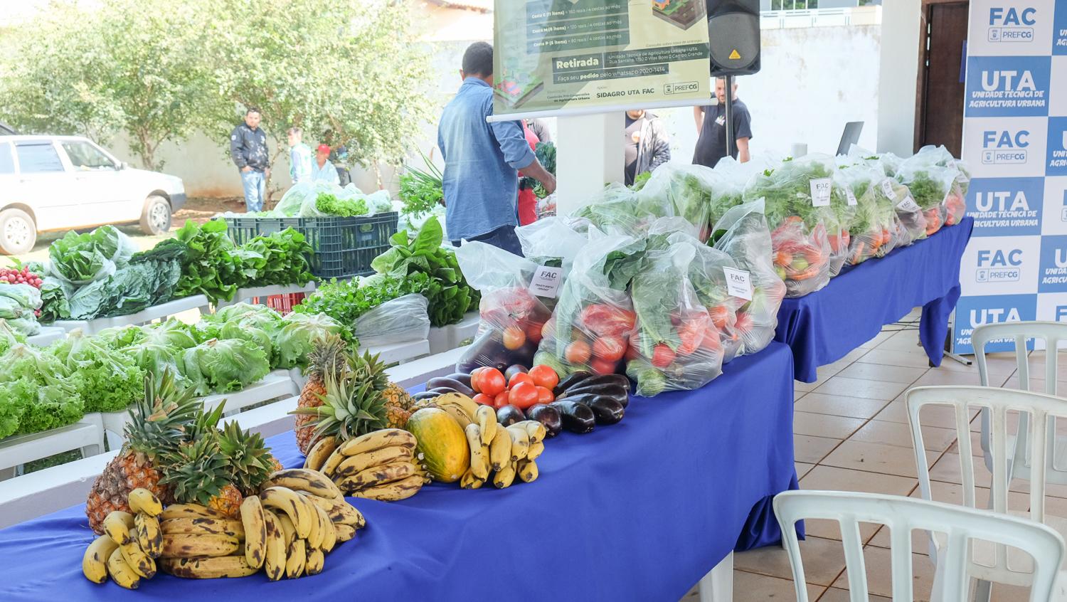 População vulnerável recebeu mais de 58,6 mil kits de legumes e verduras via FAC.