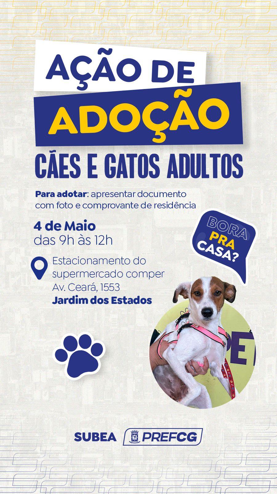 Subea realiza ação de adoção de cães e gatos adultos neste sábado.