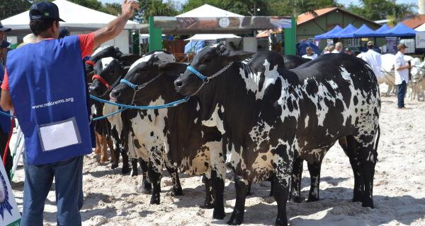 Expogrande 2024 supera todas as expectativas e fatura R$ 576,8 milhões. Expogrande 2024 supera todas as expectativas e fatura R$ 576,8 milhões.