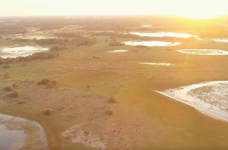 Imasul convoca proprietários de imóveis no Pantanal com processos em andamento para adequação à nova lei. Imasul convoca proprietários de imóveis no Pantanal com processos em andamento para adequação à nova lei.