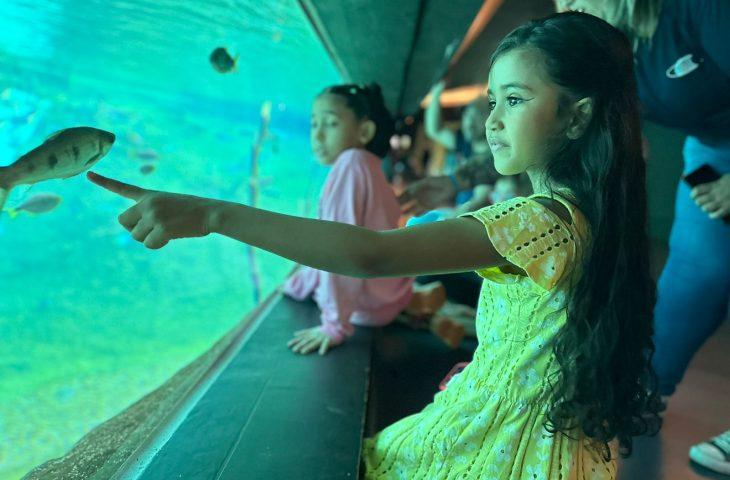 Em horário especial, Bioparque Pantanal estará de portas abertas no feriado de Corpus Christi. Em horário especial, Bioparque Pantanal estará de portas abertas no feriado de Corpus Christi.