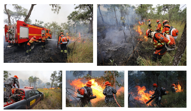 Sob coordenação dos bombeiros de MS, Força Nacional já atua no combate ao fogo no Pantanal.