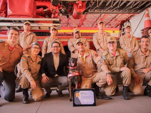 Papy entrega Moção à cadela Laika e Medalha a bombeiros que atuaram no RS.