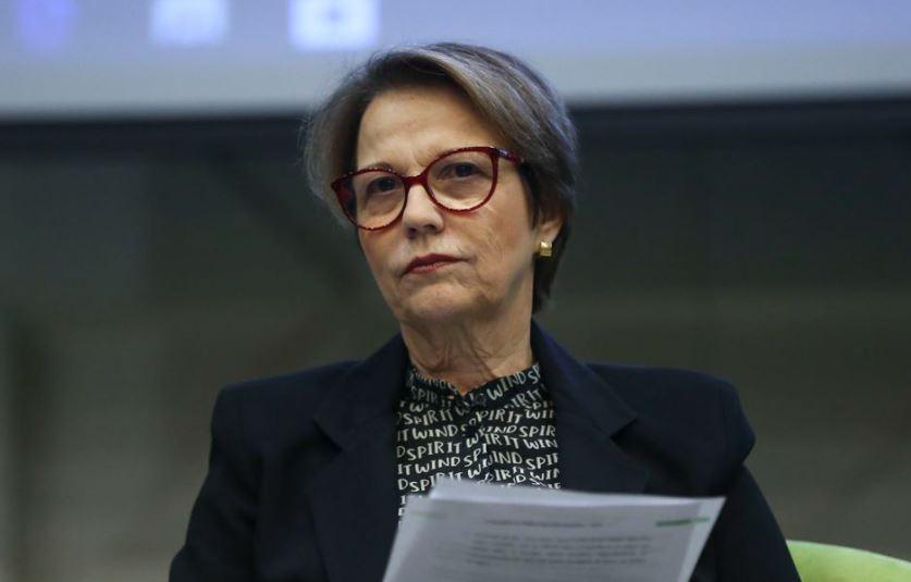 Silas Malafaia condena Tereza Cristina por votar a favor da jogatina: “vergonha” e “não reeleja” Silas Malafaia condena Tereza Cristina por votar a favor da jogatina: “vergonha” e “não reeleja”