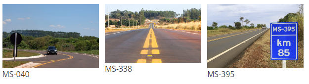 Fase de estudos para concessão da ‘rota da celulose’ em Mato Grosso do Sul é concluída.