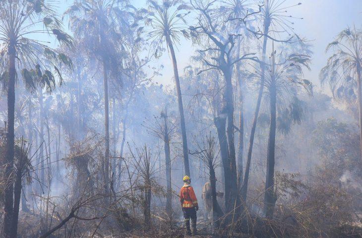 Combate aos incêndios no Pantanal tem reforço com equipes de bombeiros do PR e GO.