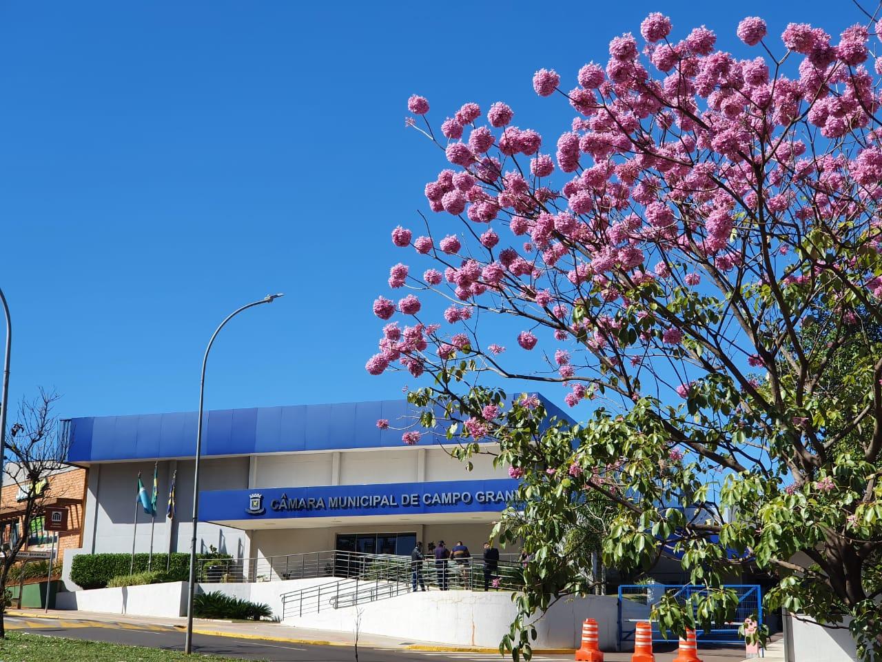 Em 27 audiências públicas, vereadores discutiram temas relevantes para a população.