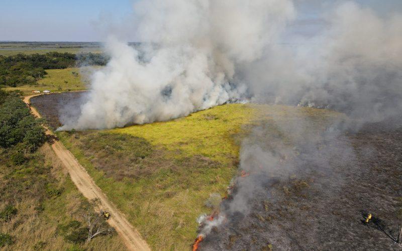MS se destaca como pioneiro na implementação do Manejo Integrado do Fogo como prevenção a incêndios. MS se destaca como pioneiro na implementação do Manejo Integrado do Fogo como prevenção a incêndios.