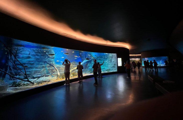 Bioparque Pantanal atrai olhares do mundo e projeta Campo Grande no cenário turístico. Bioparque Pantanal atrai olhares do mundo e projeta Campo Grande no cenário turístico.