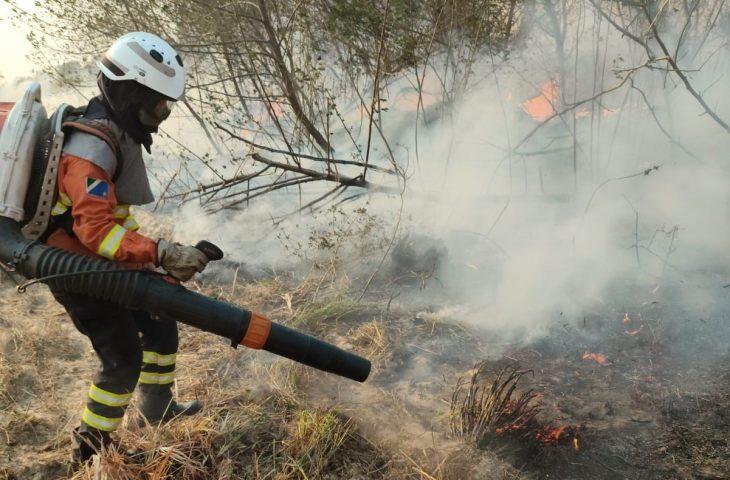 Mulheres têm papel de destaque no combate aos incêndios no Pantanal. Mulheres têm papel de destaque no combate aos incêndios no Pantanal.