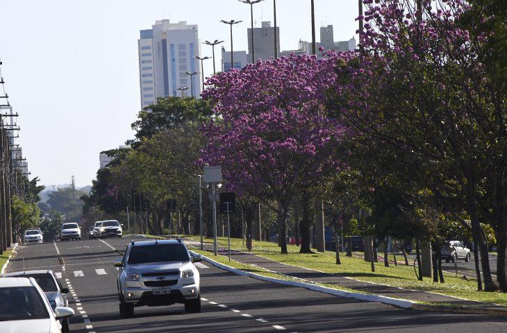 Terça-feira promete ser de sol e tempo firme em Mato Grosso do Sul, mas frio permanece. Terça-feira promete ser de sol e tempo firme em Mato Grosso do Sul, mas frio permanece.
