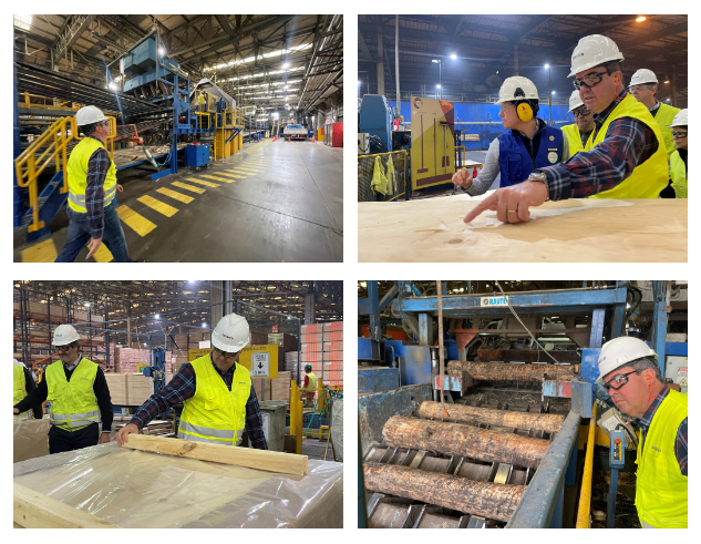 Vale da Celulose: Arauco aprova R$ 25 bi em investimento que garante desenvolvimento em MS. Vale da Celulose: Arauco aprova R$ 25 bi em investimento que garante desenvolvimento em MS.