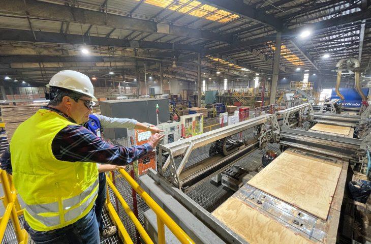 Vale da Celulose: Arauco aprova R$ 25 bi em investimento que garante desenvolvimento em MS. Vale da Celulose: Arauco aprova R$ 25 bi em investimento que garante desenvolvimento em MS.