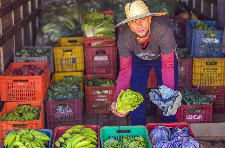 SES celebra 10 anos do Guia Alimentar Brasileiro com web aula sobre inclusão e promoção da saúde. SES celebra 10 anos do Guia Alimentar Brasileiro com web aula sobre inclusão e promoção da saúde.