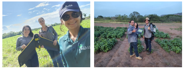 Sustentabilidade: florestas plantadas em MS contribuem para a meta de carbono neutro.