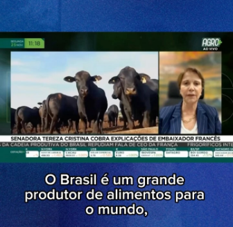Tereza Cristina cobra embaixador francês por "boicote" ao agronegócio do Brasil. Tereza Cristina cobra embaixador francês por "boicote" ao agronegócio do Brasil.