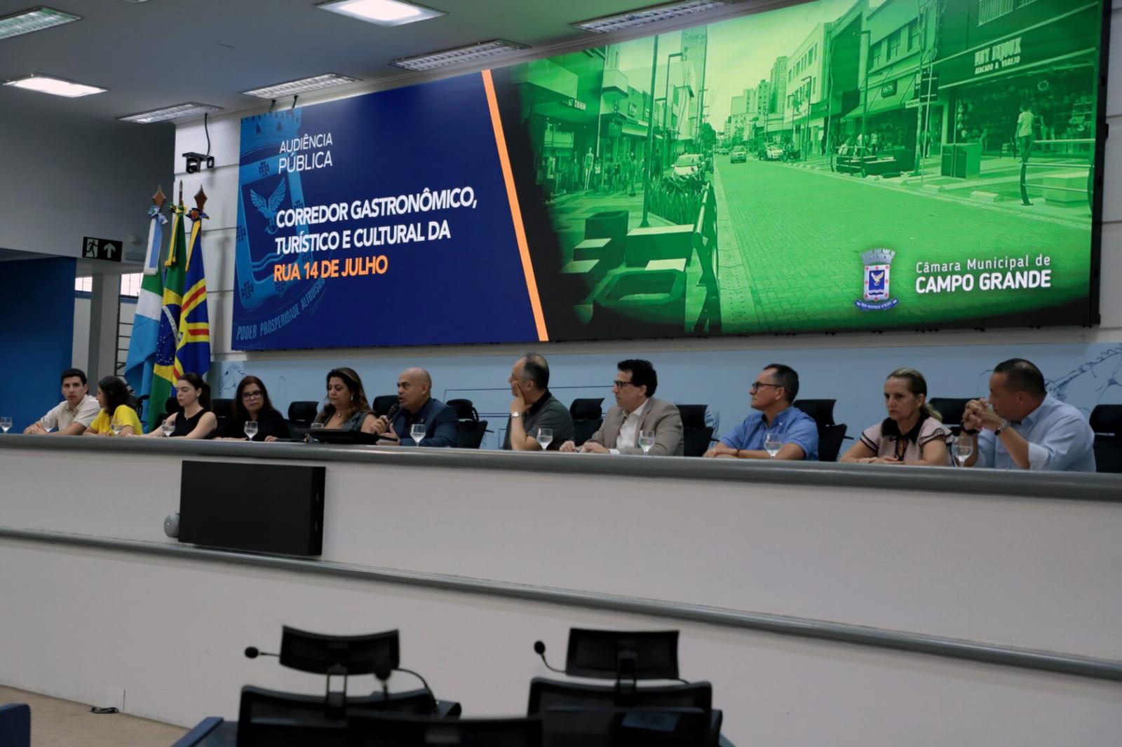 Em audiência, vereadores propõem cadastro de ambulantes do Corredor da 14 de Julho.