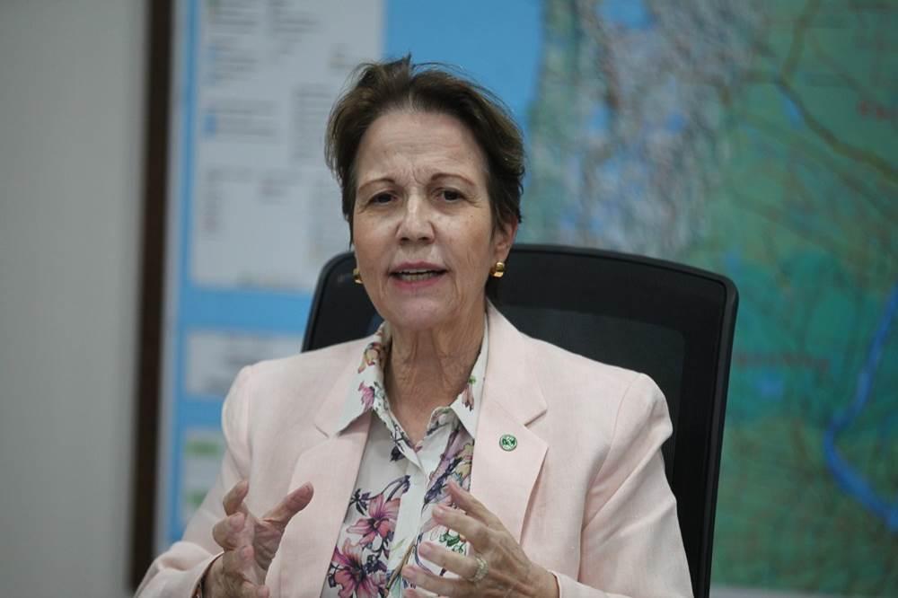 Indiciamento de Bolsonaro fortalece o nome de Tereza Cristina e de outras lideranças. Indiciamento de Bolsonaro fortalece o nome de Tereza Cristina e de outras lideranças.