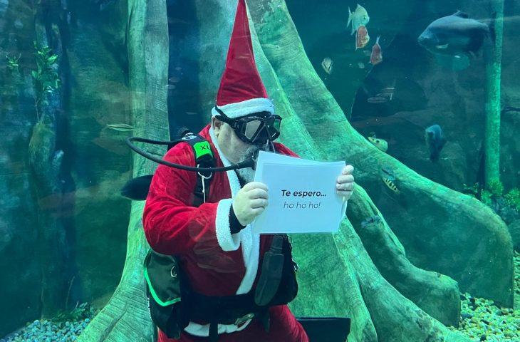 Com Papai Noel mergulhador, Bioparque Pantanal anuncia programação especial de dezembro. Com Papai Noel mergulhador, Bioparque Pantanal anuncia programação especial de dezembro.