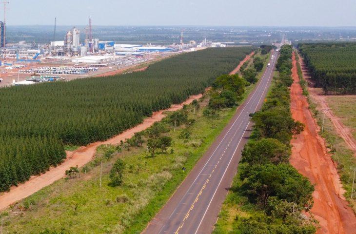 Com projeto robusto, Rota da Celulose tem expectativa de voltar ao mercado no primeiro trimestre de 2025. Com projeto robusto, Rota da Celulose tem expectativa de voltar ao mercado no primeiro trimestre de 2025.
