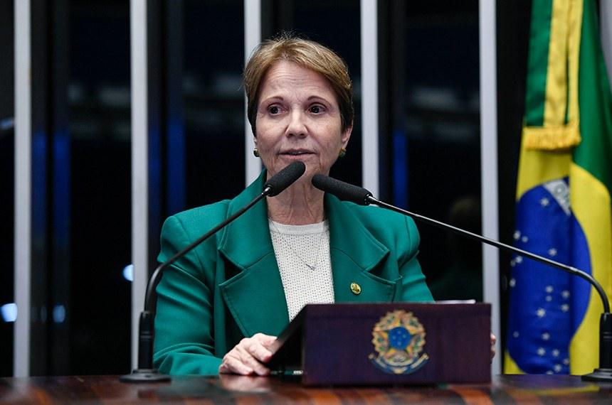 PEC de Tereza Cristina que inclui Pantanal entre patrimônios nacionais avança no Senado. PEC de Tereza Cristina que inclui Pantanal entre patrimônios nacionais avança no Senado.