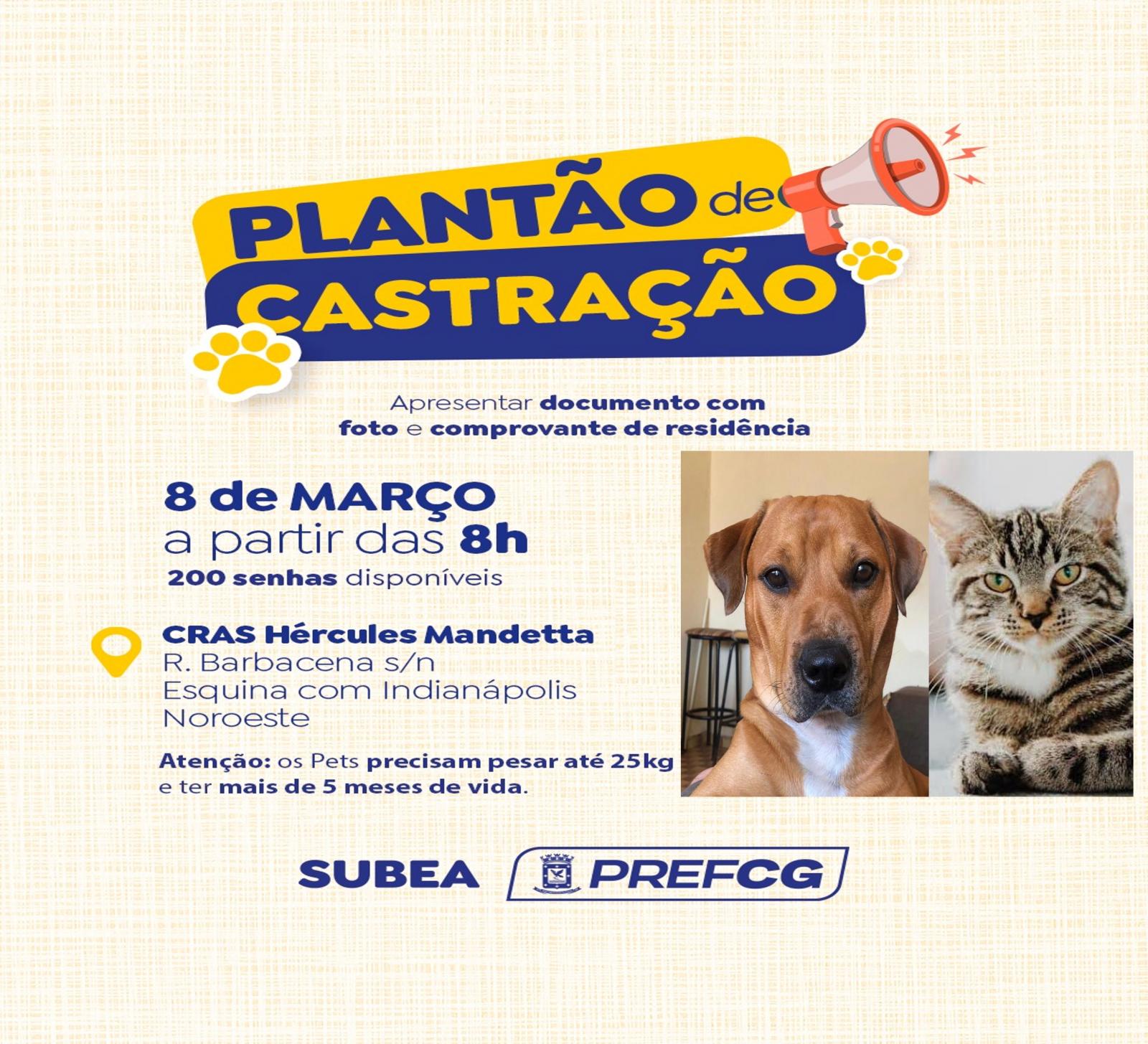 Prefeitura promove plantão de castração de cães e gatos no CRAS do Noroeste.