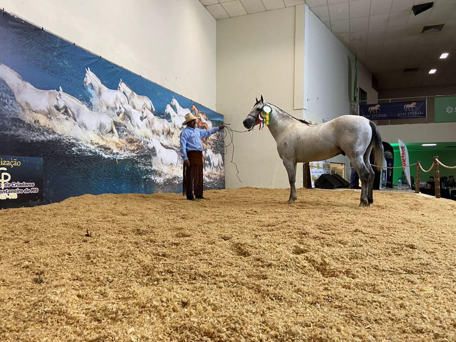 Acrissul abre dia 29 de março o circuito de leilões da Expogrande 2025.