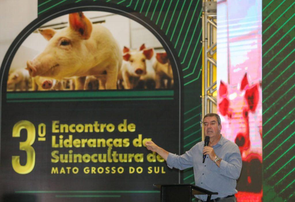 Modernização do programa Leitão Vida fortalece a competitividade da cadeia produtiva de MS. Modernização do programa Leitão Vida fortalece a competitividade da cadeia produtiva de MS.