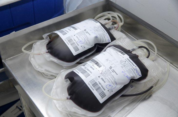 Esperança em forma de bolsas de sangue: servidores se unem à corrente de solidariedade por Cecília. Esperança em forma de bolsas de sangue: servidores se unem à corrente de solidariedade por Cecília.