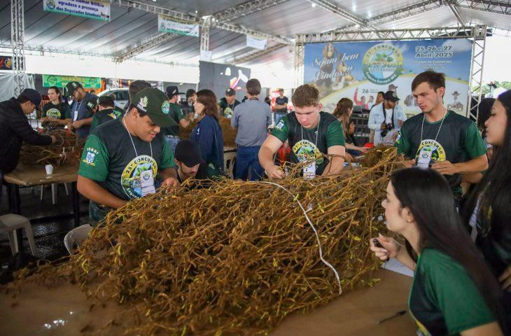 Laguna Carapã realiza o 25º Concurso Pé de Soja e comemora investimentos em infraestrutura. Laguna Carapã realiza o 25º Concurso Pé de Soja e comemora investimentos em infraestrutura.