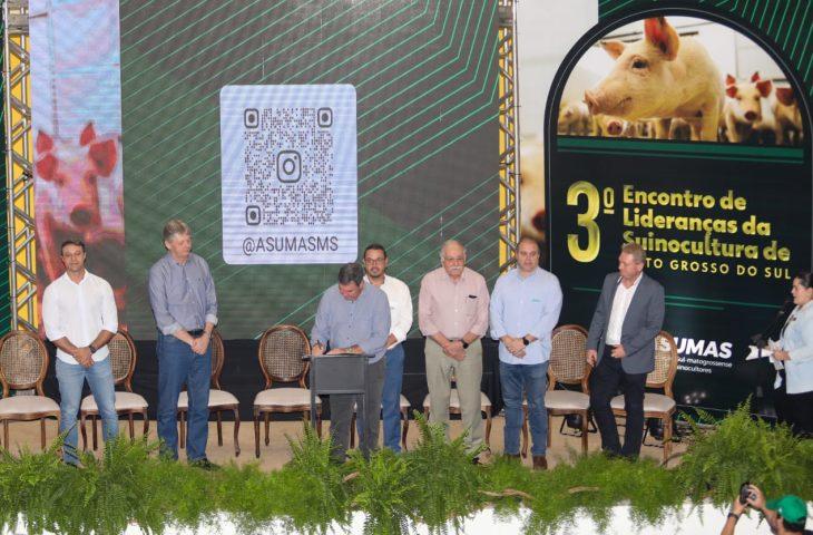 Modernização do programa Leitão Vida fortalece a competitividade da cadeia produtiva de MS. Modernização do programa Leitão Vida fortalece a competitividade da cadeia produtiva de MS.
