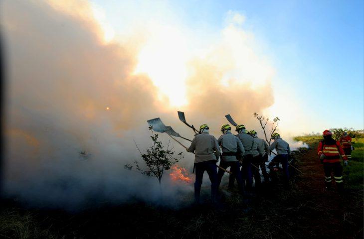 Prevenção aos incêndios: Governo de MS vai antecipar cronograma e lançar PSA Brigadas já em abril. Prevenção aos incêndios: Governo de MS vai antecipar cronograma e lançar PSA Brigadas já em abril.