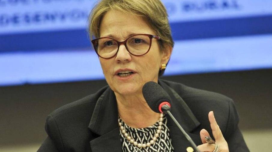 Senadora campo-grandense reforça que medida era estudada há mais de um ano e não mira uma única resposta em retaliação ao presidente dos Estados Unidos. Senadora campo-grandense reforça que medida era estudada há mais de um ano e não mira uma única resposta em retaliação ao presidente dos Estados Unidos.