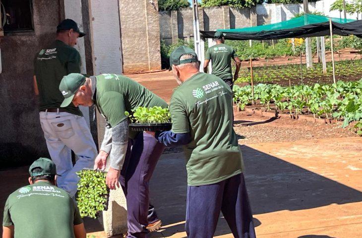 Capacitação em horticultura no presídio de Caarapó impulsiona geração de alimentos para instituições assistenciais. Capacitação em horticultura no presídio de Caarapó impulsiona geração de alimentos para instituições assistenciais.