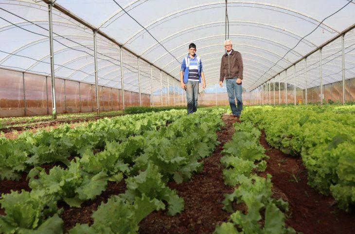 Trabalho em equipe da Agraer inspira criação de aplicativo nacional do Crédito Fundiário. Trabalho em equipe da Agraer inspira criação de aplicativo nacional do Crédito Fundiário.