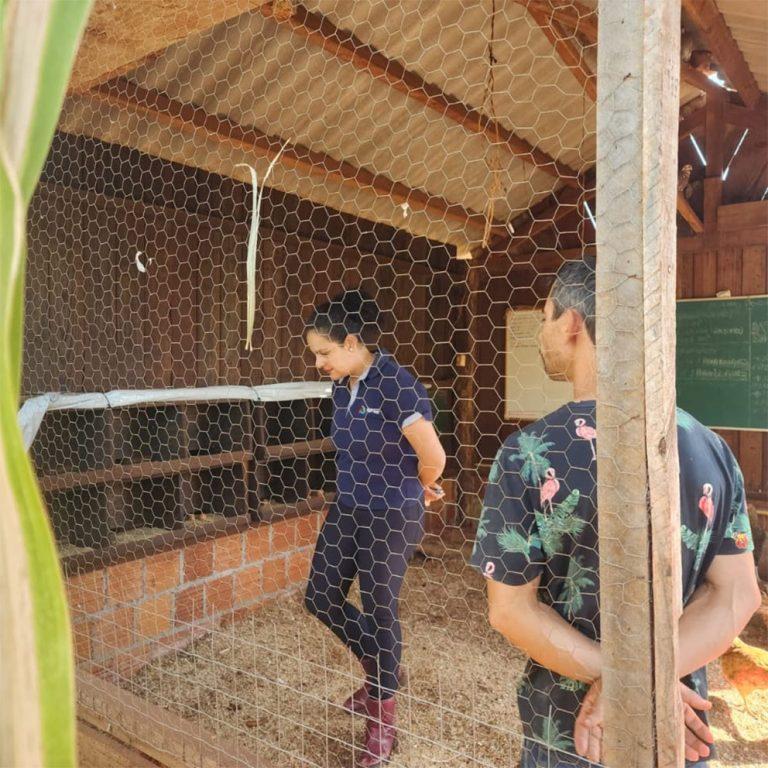 Agraer, Embrapa e Iagro reforçam prevenção à gripe aviária com foco na agricultura familiar.