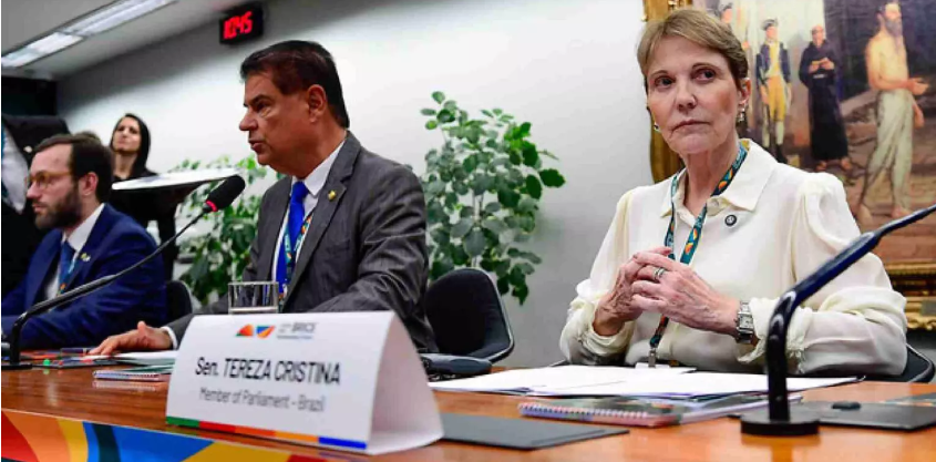 No Fórum Brics, Tereza Cristina e Nelsinho Trad criticam medidas protecionistas: ‘Ameaçam a paz’ No Fórum Brics, Tereza Cristina e Nelsinho Trad criticam medidas protecionistas: ‘Ameaçam a paz’