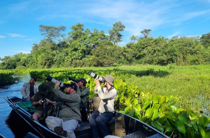 Famtour internacional destaca o Pantanal de MS como destino estratégico para observação de aves. Famtour internacional destaca o Pantanal de MS como destino estratégico para observação de aves.