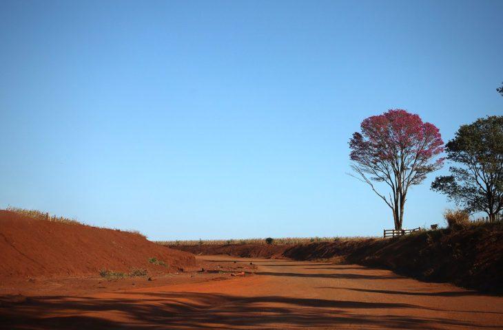 Semana começa com tempo estável em MS, mas frente fria pode provocar mudanças na quinta-feira. Semana começa com tempo estável em MS, mas frente fria pode provocar mudanças na quinta-feira.