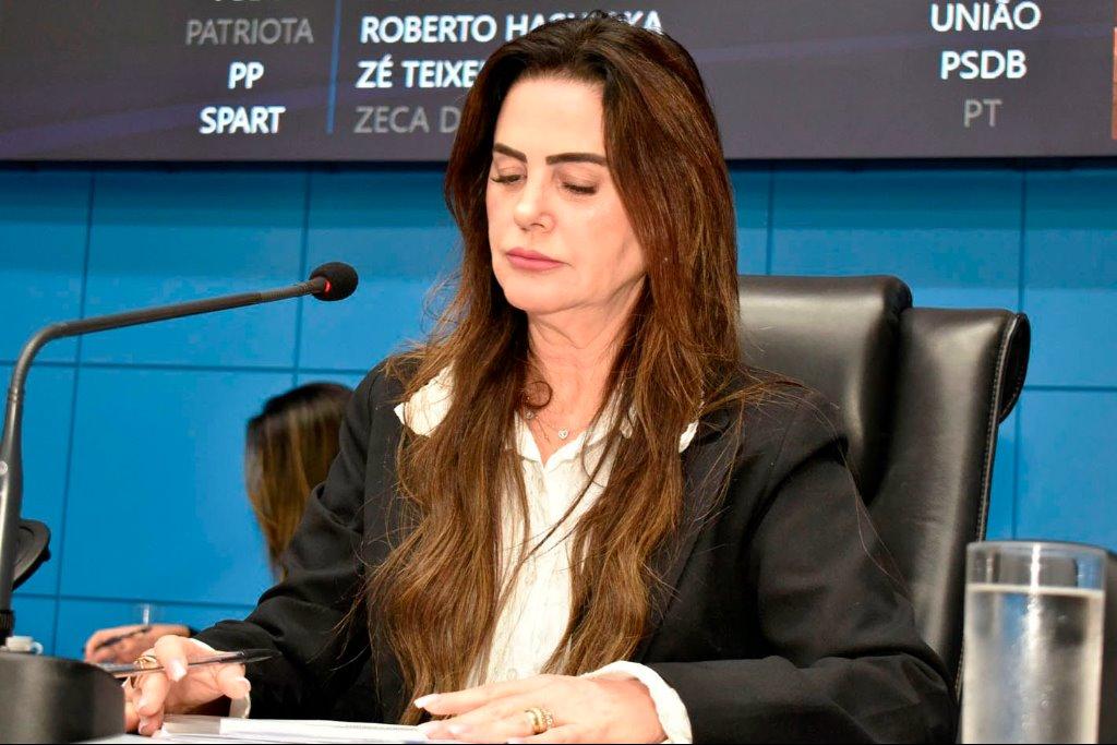 Lei: Sancionada divulgação do Protocolo "Não é Não" em Mato Grosso do Sul. Lei: Sancionada divulgação do Protocolo