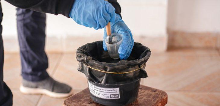 SES promove capacitação para expandir armadilhas de vigilância contra o Aedes aegypti e albopictus. SES promove capacitação para expandir armadilhas de vigilância contra o Aedes aegypti e albopictus.