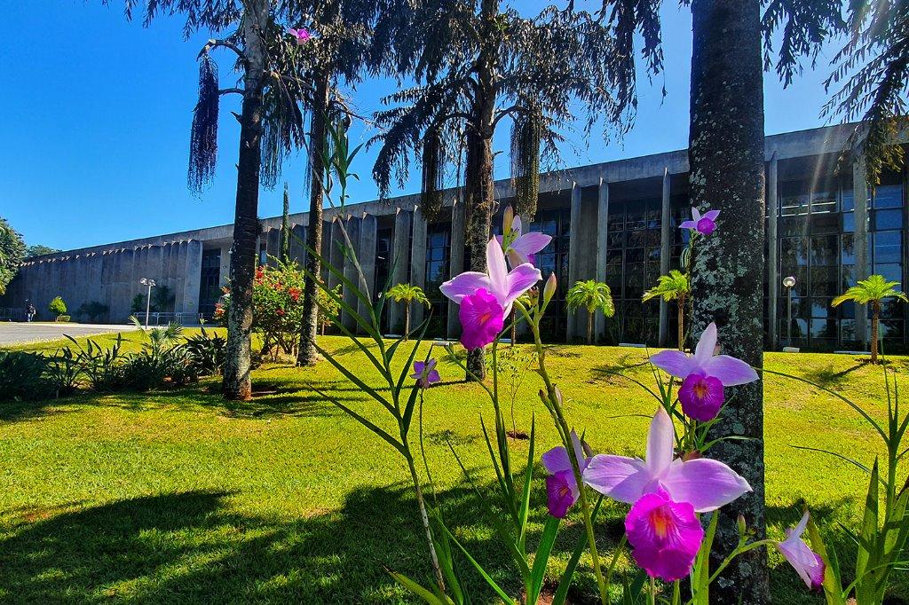 Agenda: Última semana de agosto tem ato contra feminicídio e sessão solene na ALEMS.