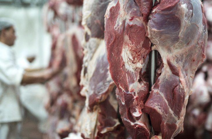 Comitiva destaca importância de ação governamental para abertura de mercado no continente asiático.