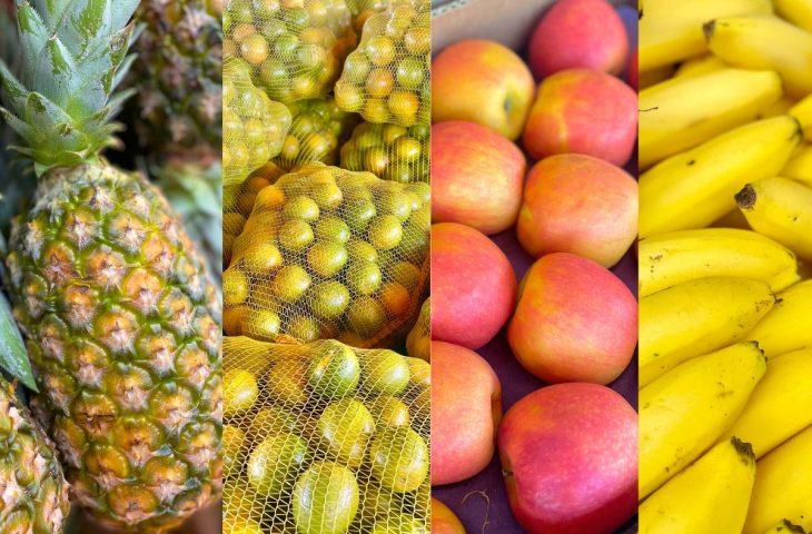 Explosão de cores e sabores: as frutas campeãs de vendas na Ceasa de Mato Grosso do Sul. Explosão de cores e sabores: as frutas campeãs de vendas na Ceasa de Mato Grosso do Sul.